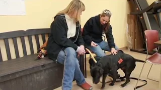 Prison Dog Training Program Helps Corrections Officer's Family