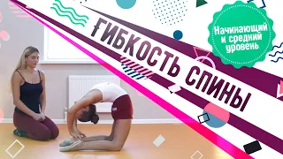 Гибкость спины. Упражнения для растяжки спины. Растяжка для начинающих и средний уровень.