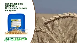 Устойчивость зерновых к засухе. Система No-Till с использование СТИМИКС