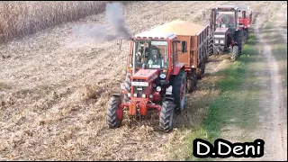 [2023] Kukorica Aratás {4xMtz, 2xJohn Deere, 2xMassey Ferguson, 1xClaas} *D.Deni*