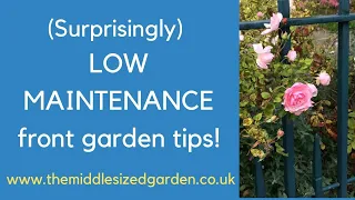 Best low maintenance front garden tips