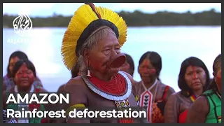 Deforestation in Brazil Amazon rainforest soars 67 percent