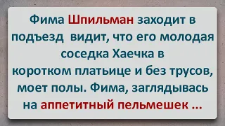 ✡️ Бесстыжая Хаечка! Еврейские Анекдоты! Анекдоты про Евреев! Выпуск #197