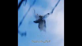 مشهد امير في نهاية الموسم الثالث يسامح ريحان بعد موتها 😭