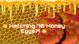 🍯🐝Hatching 70 Honey Eggs?!🐝 🍯[Dragon Adventures]