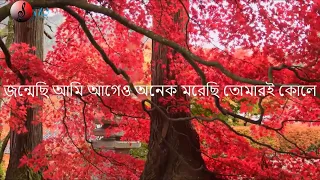 "অমরত্বের প্রত্যাশা নেই" Omorotter prottasha nei-(Lyrics) by Kabir Suman | Jaatishwar
