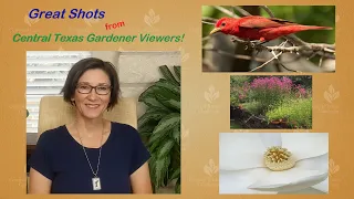 Great Garden Shots!