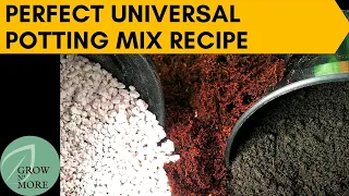 How to Make Perfect Universal Potting Mix for All Plants | Cheap & Easy to Make Potting Mix Recipe