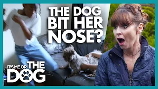Victoria stunned to learn this dog BIT the child that wanted him! | It's Me or The Dog