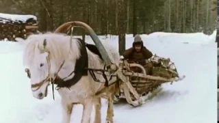 Сказка "Ледяная внучка" (1980) | DVDRip