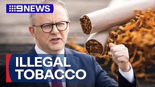 Major crackdown on illegal tobacco | 9 News Australia