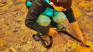 Unbelievable fishing technique! Using a SNAKE to catch fish in deep pit!