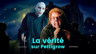 PETER PETTIGROW dans HARRY POTTER : un grand sorcier ?