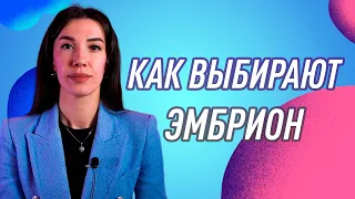 Процесс разморозки эмбрионов