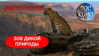 🎭ЗОВ ДИКОЙ ПРИРОДЫ 🌎 ДОКУМЕНТАЛЬНОЕ КИНО 🎆 2019 🎆