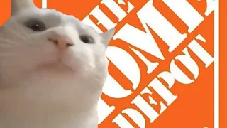 Cat Vibing to Home Depot Theme Song for 12 Hours