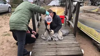 Спасение тюленя