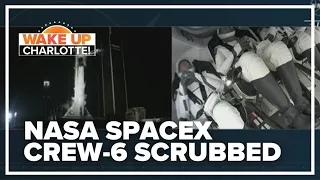 Launch of NASA SpaceX Crew-6 scrubbed