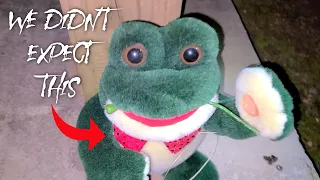 Should we take it? Weird Kermit with a twist? (Randonautica)