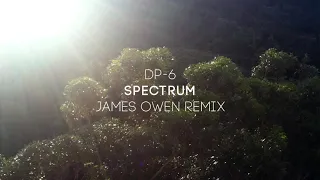 DP-6 - Spectrum (James Owen Remix) [DP-6 Records]