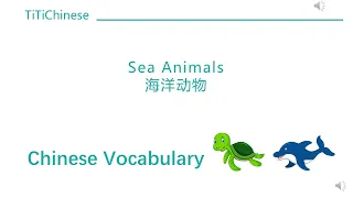 105 Sea animals - Chinese vocabulary for kids, babies - educational video