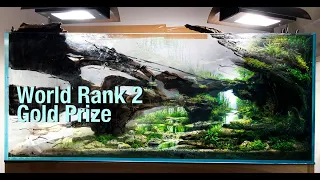 World’s 2nd Most Beautiful Planted Aquarium IAPLC 2020 Contest Gold, Swamp Inside a Fish Tank Part 2