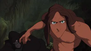 Tarzan Vs. Sabor