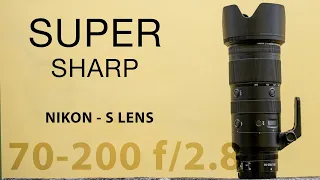 Nikon 70-200 f/2.8 S VR | The Sharpest 70-200 IMO | V2K Reviews