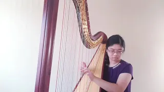 D. Scarlatti/Y. Kondonassis Sonata in b minor K. 27 (harp arrangement)