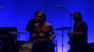 Iggy Pop - Passenger - live @the Arena Wien, Vienna 2013