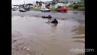 жаңа видео приколдар