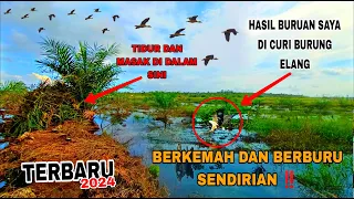 BERKEMAH & BERBURU BELIBIS DENGAN PULUT & UKLIK‼️ hasil buruan yg terkena pulut di sambar elang liar