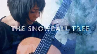 Sergey Rudnev "Oi, da ty, Kalinyshka" (The Snowball Tree) Live - Asya Selyutina