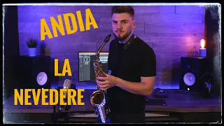 Andia-La nevedere | Cover Saxophone