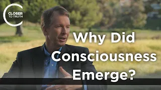 Donald Hoffman - Why Did Consciousness Emerge?