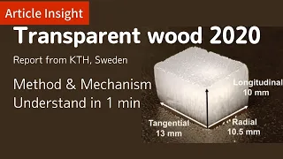[ARTICLE 2020] Transparent wood by wise & TEMPO