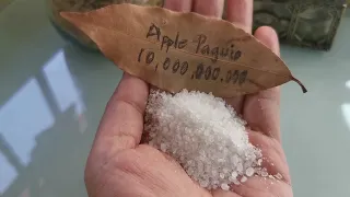 DATING MAHIRAP PA SA DAGAT YUMAMAN MATAPOS GAWIN ITO-APPLE PAGUIO7