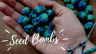 Seed Bombs Throw And Grow Plants - DIY Earth Day