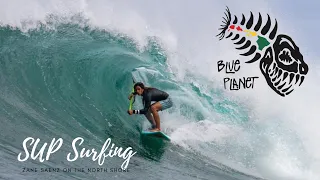 SUP surfing- Zane Saenz ripping on big, clean waves