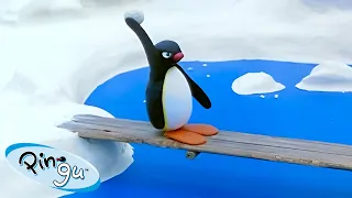 Pingu Seeks Revenge 🐧 | Pingu - Official Channel | Cartoons For Kids