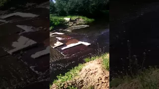 Короткий ролик про реку черемуху