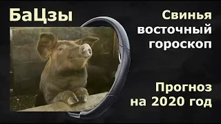 БАЦЗЫ. Восточный гороскоп. Прогноз на 2020  год крысы  для людей,  рожденных  в год свиньи