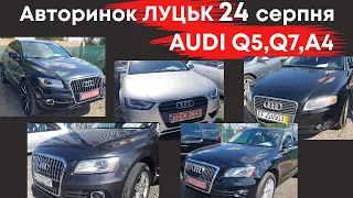 Audi Q5-Q7, A3, A4 на Луцькому авторинку 24.08.2023 #audi  #audiq7