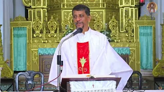 Mass in Konkani - 11th August 2023 - SFX Church, Chicalim