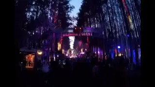 Electric Forest 2018 (Weekend 1)