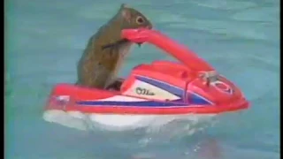 Waterskiing Squirrels 1988