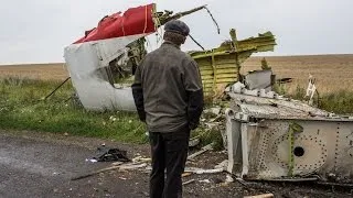 Another Report Points To Russian Involvement In The Downing Of MH17