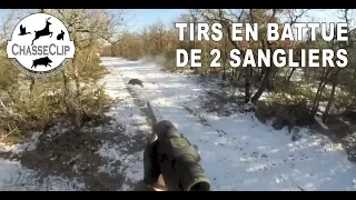 Tirs en battue de 2 sangliers dans la neige