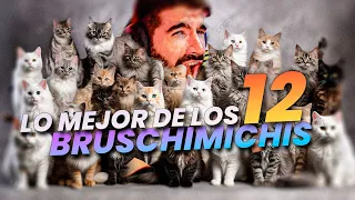 LO MEJOR DE LOS BRUSCHIMICHIS 12 - PABLO BRUSCHI