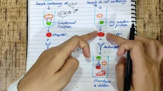 COMPLEMENT FIXATION TEXT